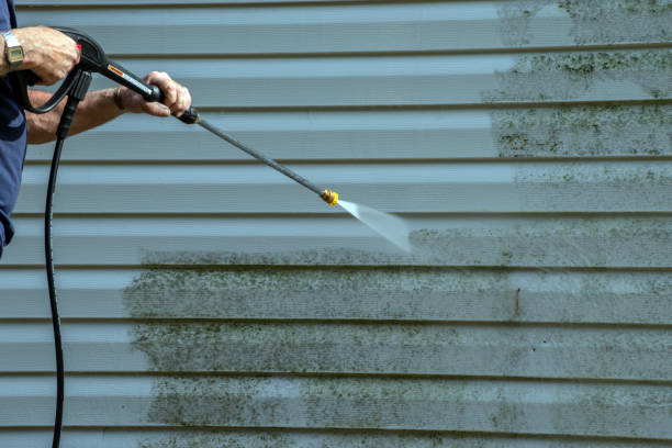 Best Commercial Pressure Washing  in Otsego, MI