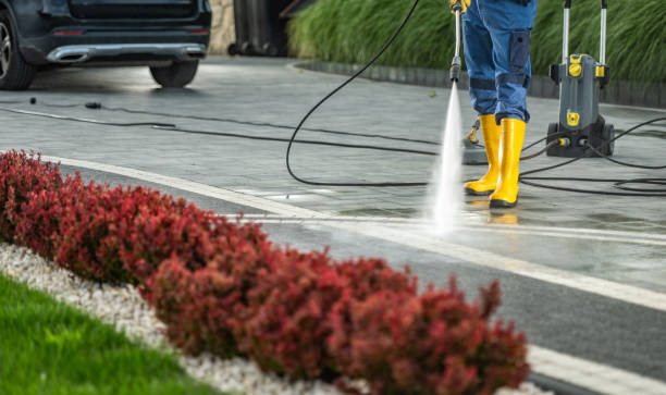 Best Deck Pressure Washing  in Otsego, MI
