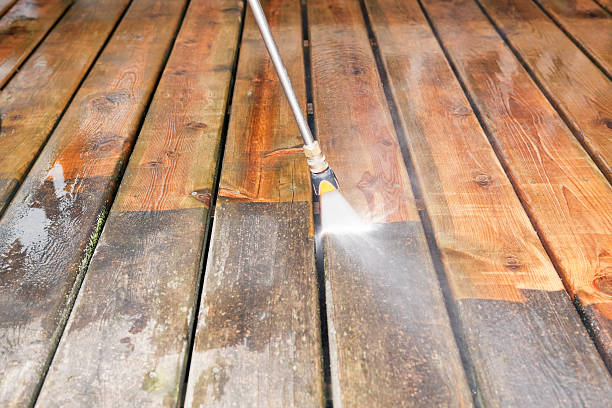 Best Exterior Home Cleaning  in Otsego, MI