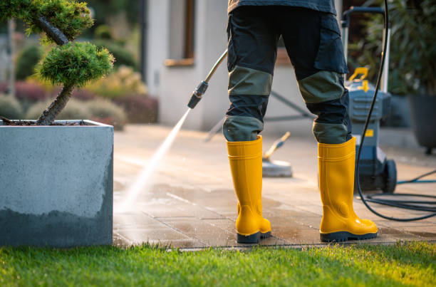 Roof Power Washing Services in Otsego, MI